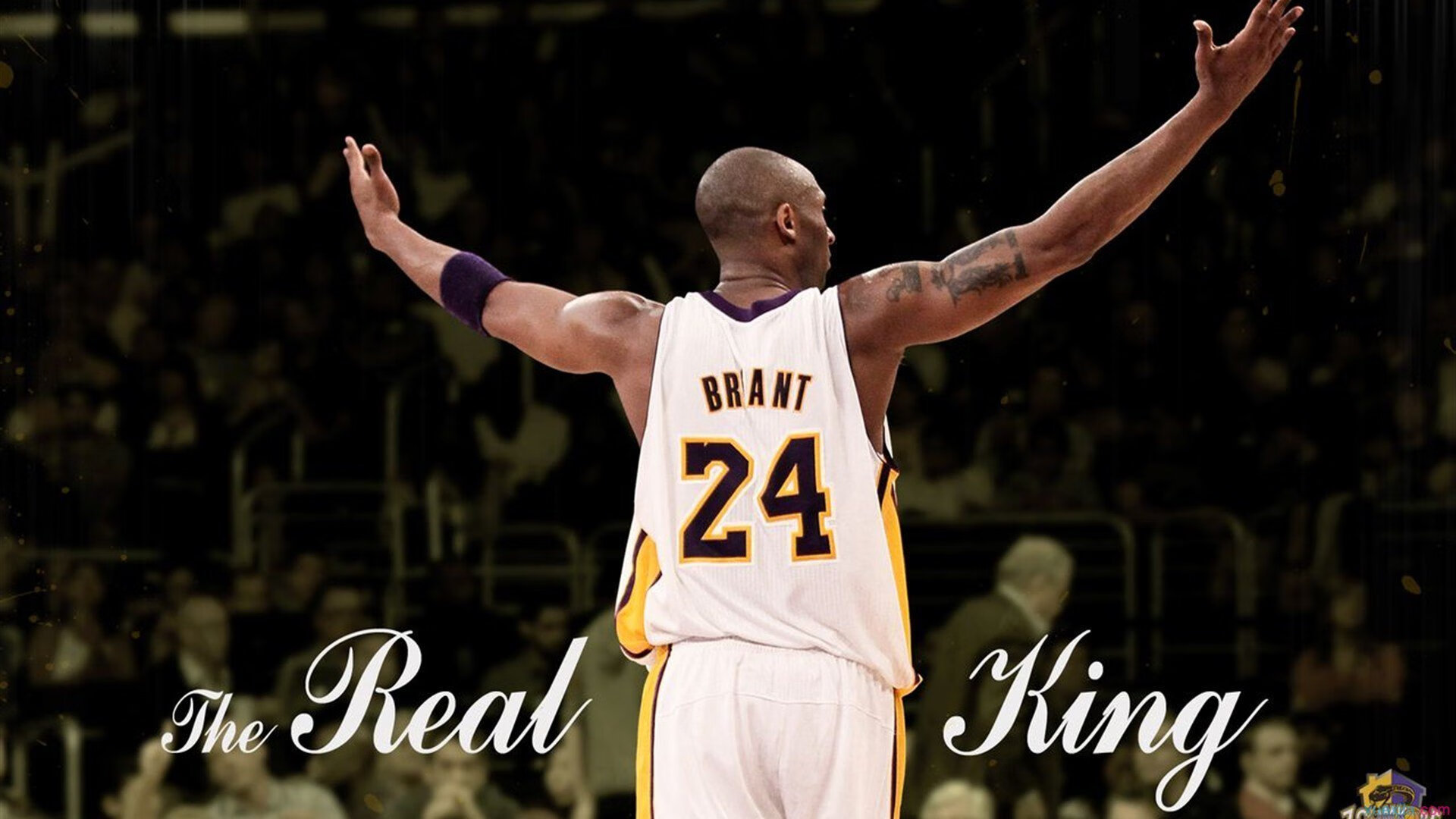 爱游戏-比利时马术协会与国际马术联合会合作，举办国际马术交流活动，促进技术交流。